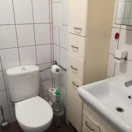 Srebrna Center Apartment *