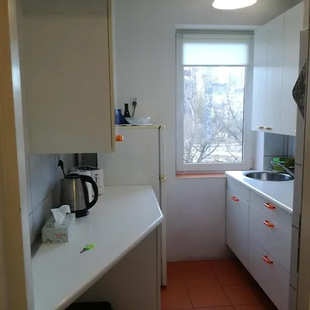 Srebrna Center Apartment *